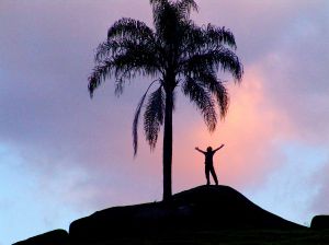 DISCIPLINIRANA LJUBAV